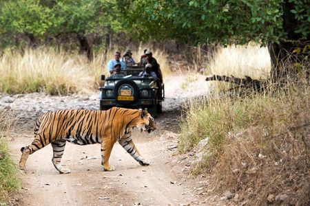 8 Days Golden Triangle with Ranthambore & Udaipur Tour