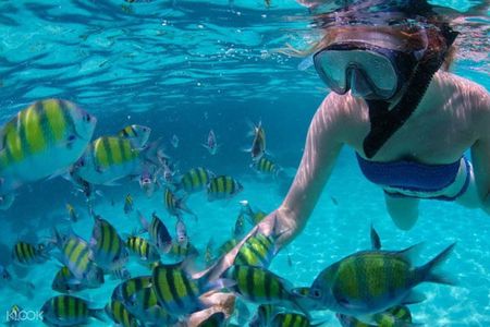 Mactan Cebu Island Hopping with Lunch - Gilutungan, Caohagan, Nalusuan