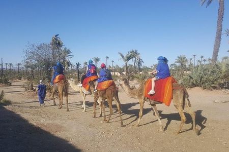 Marrakech Camel Safari at Agafay Desert