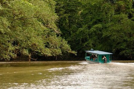 Safari Boat on Sarapiqui River with Lunch from San Jose
