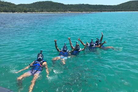 Pigs Island exclusive Semi VIP