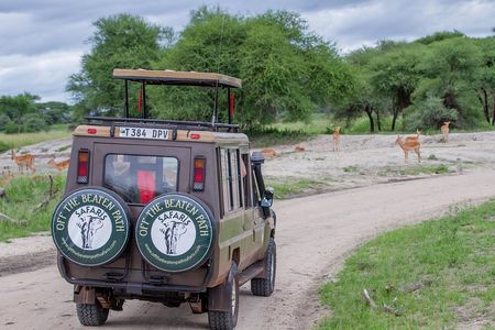 4 Days Tarangire , Ngorongoro ,Manyara and lake Eyasi village 
