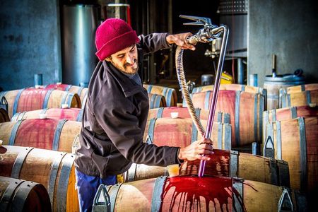 Margaret River Wine Adventure - The tour for people who don't do tours!
