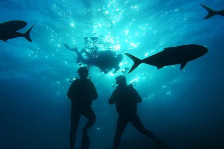 Fun Diving at Amorgos Diving Center