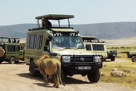 Ngorongoro Crater Day Trip from Arusha