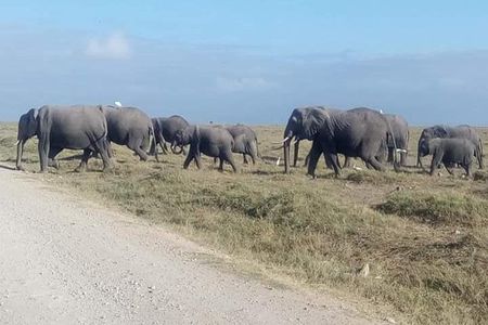 3 Days Camping Safari in Amboseli National Park, Kenya