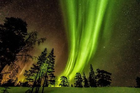 Northern Lights Aurora Tour from Kemi