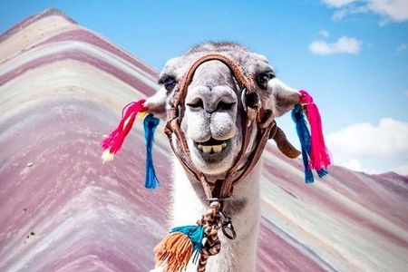 Rainbow Mountain - Vinicunca (Day Trip)