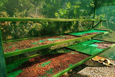 Chocolate Tour Standard #1: Transportation included without lunch