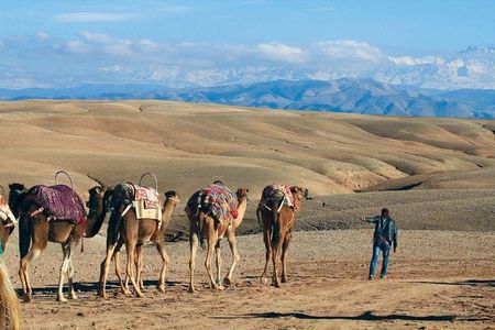 Desert Agafay & Atlas Mountains & Waterfalls, Camel ride Day Trip From Marrakech