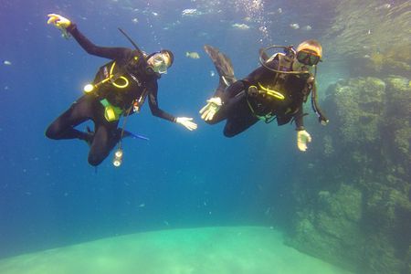 Beginner Scuba Diving in Cabo San Lucas