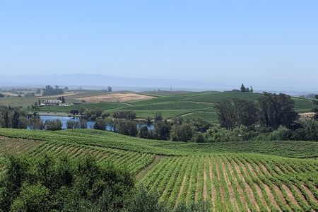 Napa and Sonoma Valley Wine 6 hour Tour from San Francisco