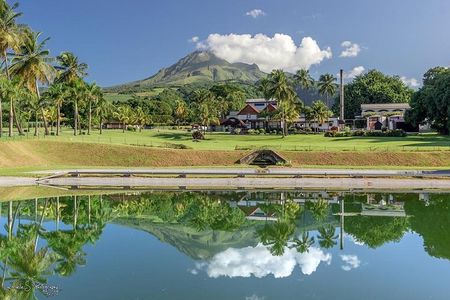 V.I.P North Caribbean deep forest Tour -The Green Martinique