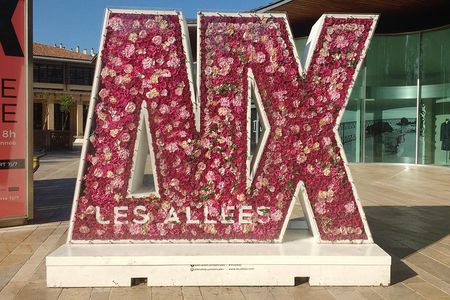 Guided Tour in Aix-en-Provence: Historical Old City