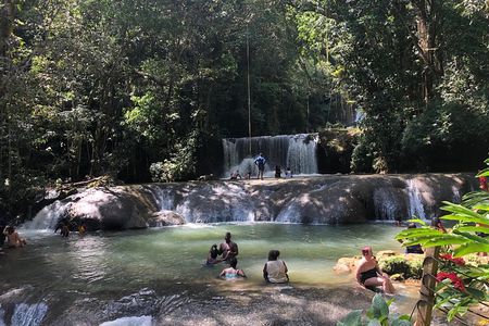 Black River Safari, YS Falls and Appleton Estate 