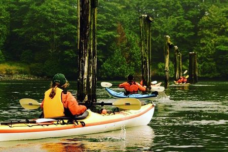 Ucluelet Harbour Tour
