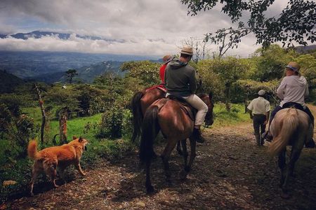 Queveri Horseback Riding Tours