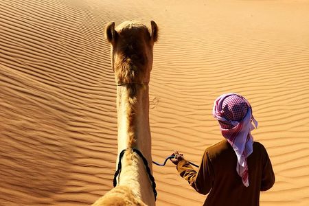 Sunrise Desert Safari from Abu Dhabi 