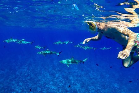 PRIVATE FULL DAY LAGOON TOUR - Bora Bora Cultural Lagoon Tour