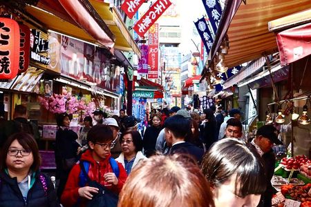 Tokyo: Food Tour in Ueno with 10+ Tastings of Japanese Classics