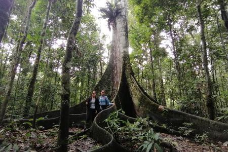 Amazing Jungle 3Days 2Nights - Amazon Wonder Expeditions