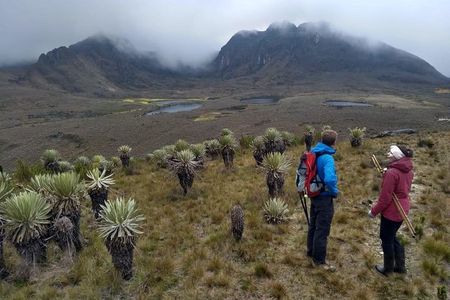Sumapaz Mountaintop Páramo Trek