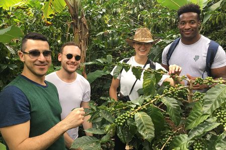 Traditional Coffee Tour, Nature & Birds