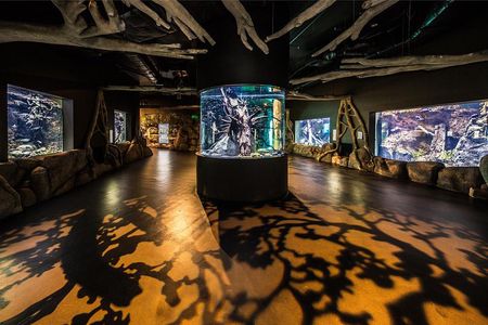 Cairns Aquarium Admission Ticket