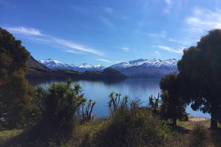 1-Hour Ruby Island Cruise and Walk from Wanaka