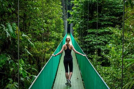 Puntarenas Shore Excursion: Rainforest Hanging Bridges, Skywalk Tour & Boat Tour