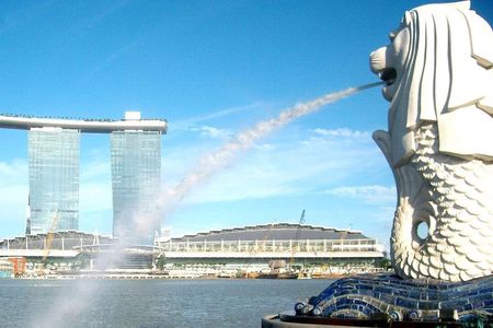 City Tour+Gardens by the Bay(FlowerDome & CloudForest) Transfers