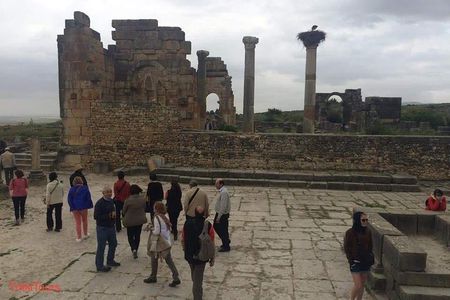 day trip fes to volubilis and meknes 