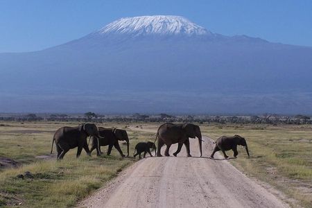 Private Adventure: Amboseli Park & Kilimanjaro views Day tour