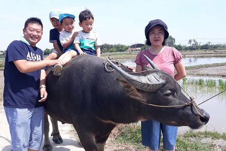 Cycling, Buffalo, Basket Boat ride in Hoi An