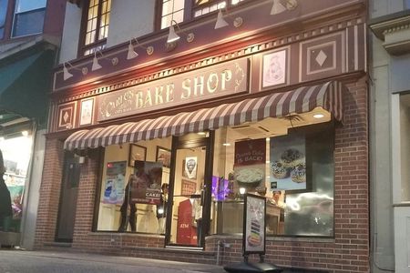 New York City Panoramic Skyline Tour