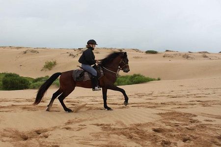 Horse Riding Agadir