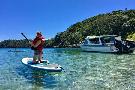 Day Cruise & Island Tour - Snorkel/Wildlife/Paddleboard/Islands