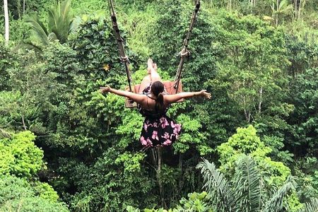 Nungnung waterfall, Sangeh village & Bali swing