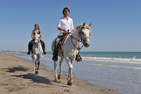 Bodrum Horseback Riding Experience with Hotel Transfer