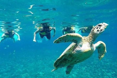 Snorkeling Tour In Gili Islands Pick Up From Lombok Or Gili