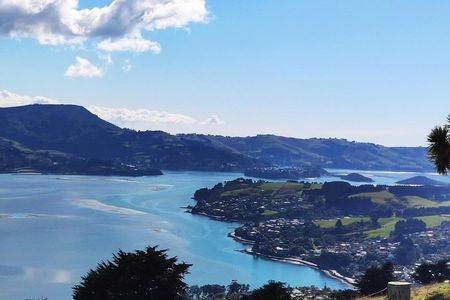 Dunedin City and Coastal Views 3-Hour Small-Group Guided Tour