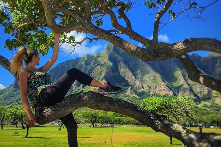 4 Hour Half Day Island Jeep Tour