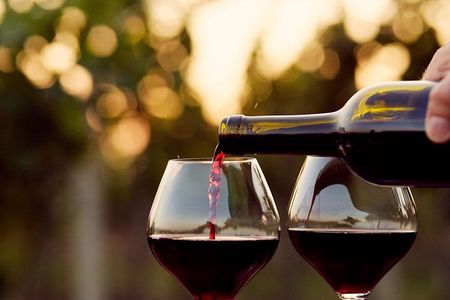 Wine Tasting Tour