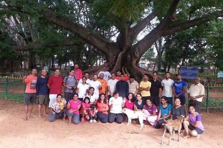 A Trail Through Parks Of Bangalore