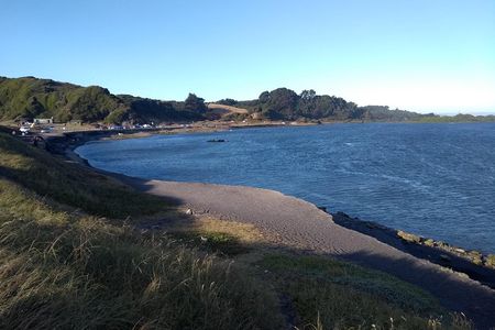 Tour around Biobío River Estuary & Pedro del Río Zañartu Museum