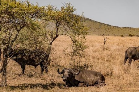 7 Days 6 Night In Southern Of Tanzania