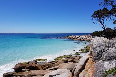 Tasmania 5 Day East Coast Tour