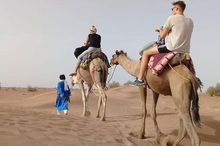 Private - Camel Ride Tour with Dune Bashing, BBQ Dinner and Belly Dance
