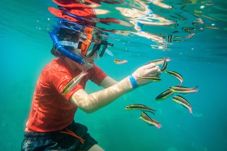 Premium Family Snorkeling Experience
