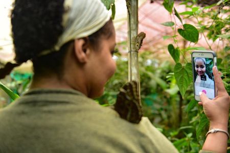 Mindo: Bird watching, Chocolate, Waterfall and Adventure